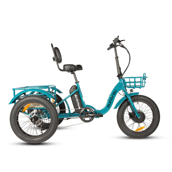 New-Trike 2.0