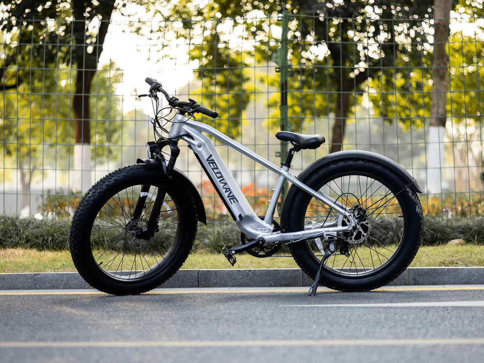 Ranger 2.0 Fat Tire All-Terrain Electric Bike