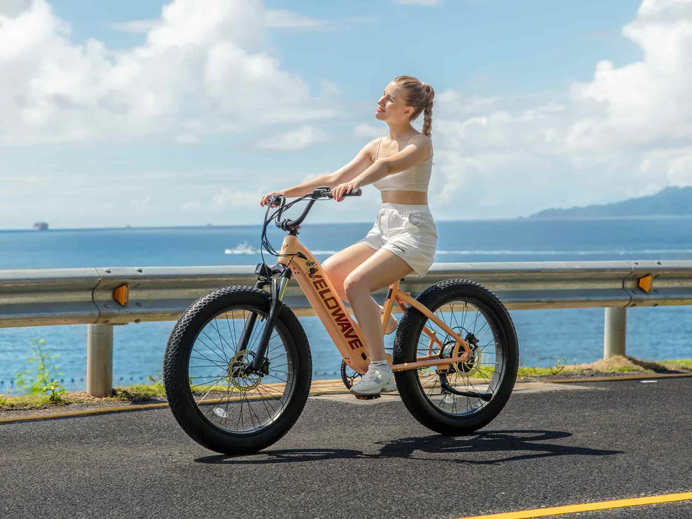Rover Step-Thru Electric Bike