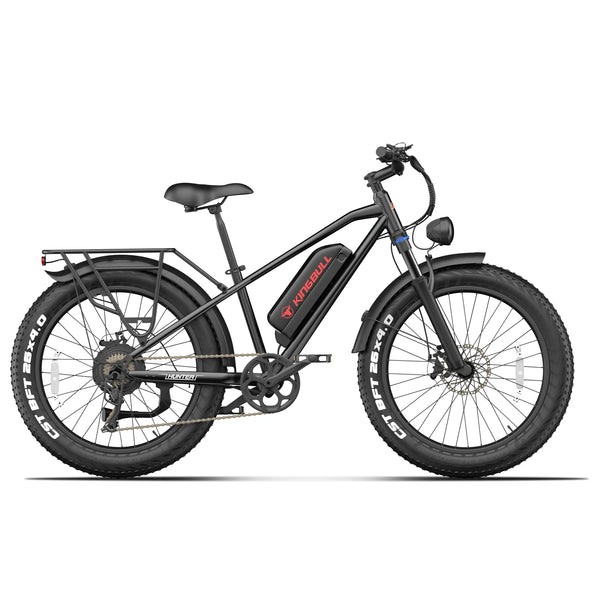 Hunter 2.0S | Mountain Fat Tire Electric Bike