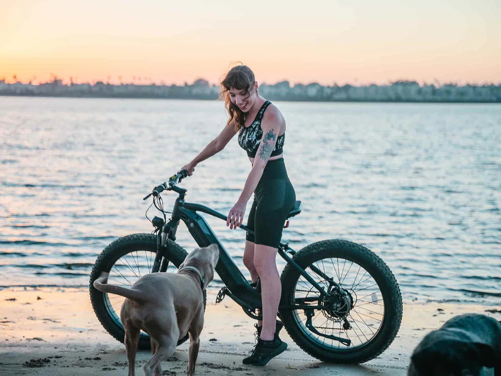 Ranger Fat Tire Electric Bike
