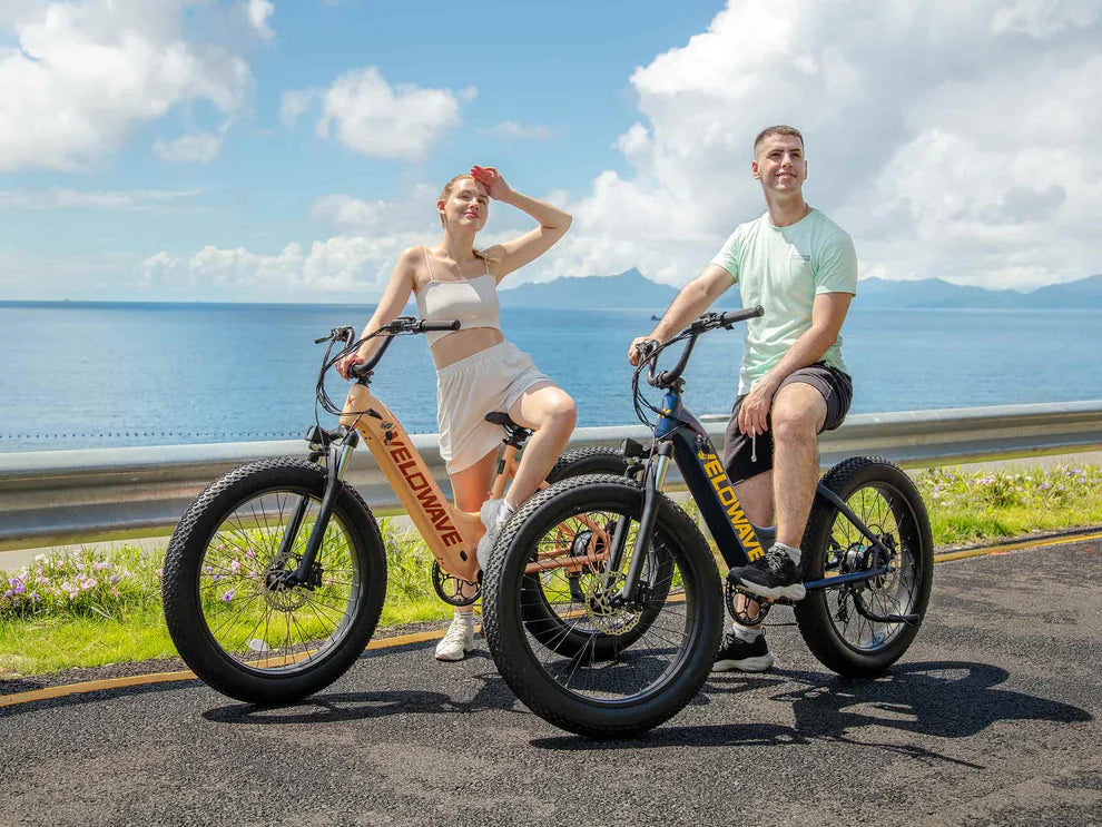 Rover Step-Thru Electric Bike