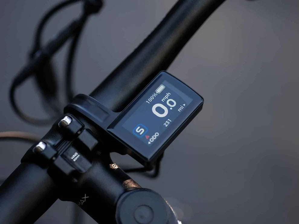 Forest SM MTB