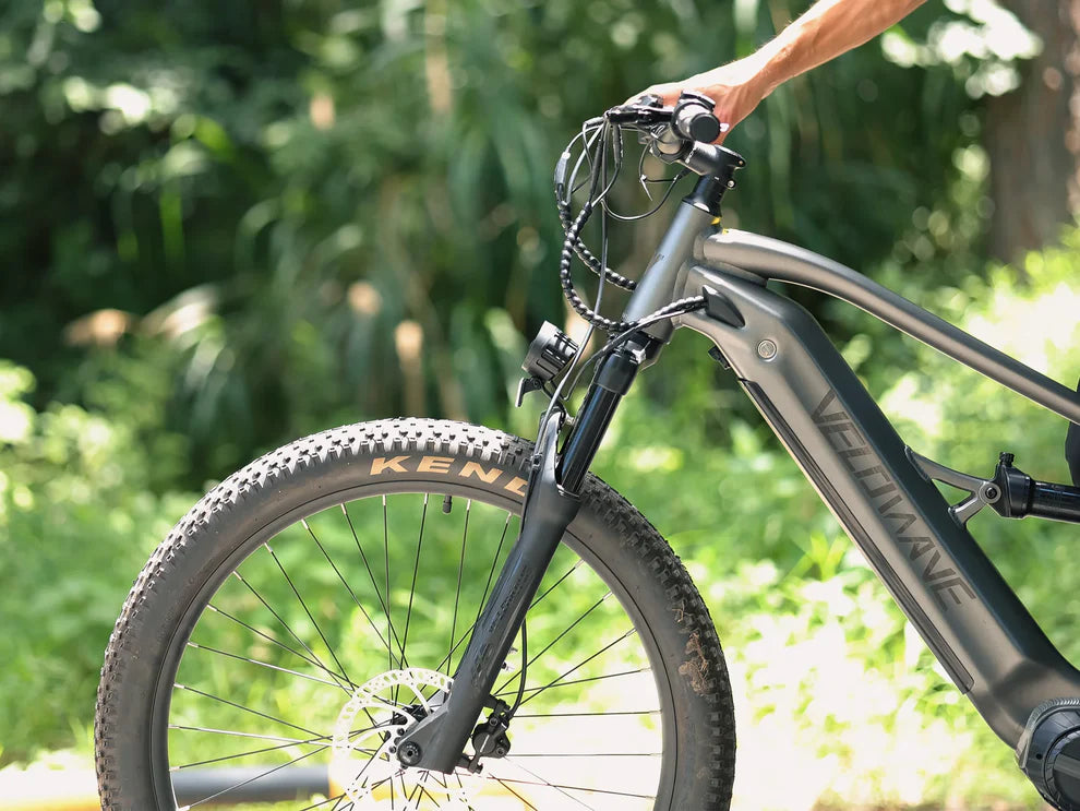 Forest SM MTB