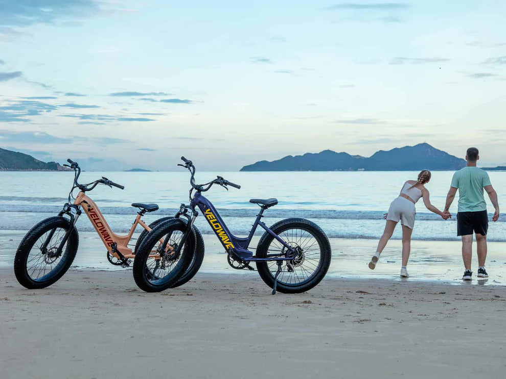 Rover Step-Thru Electric Bike