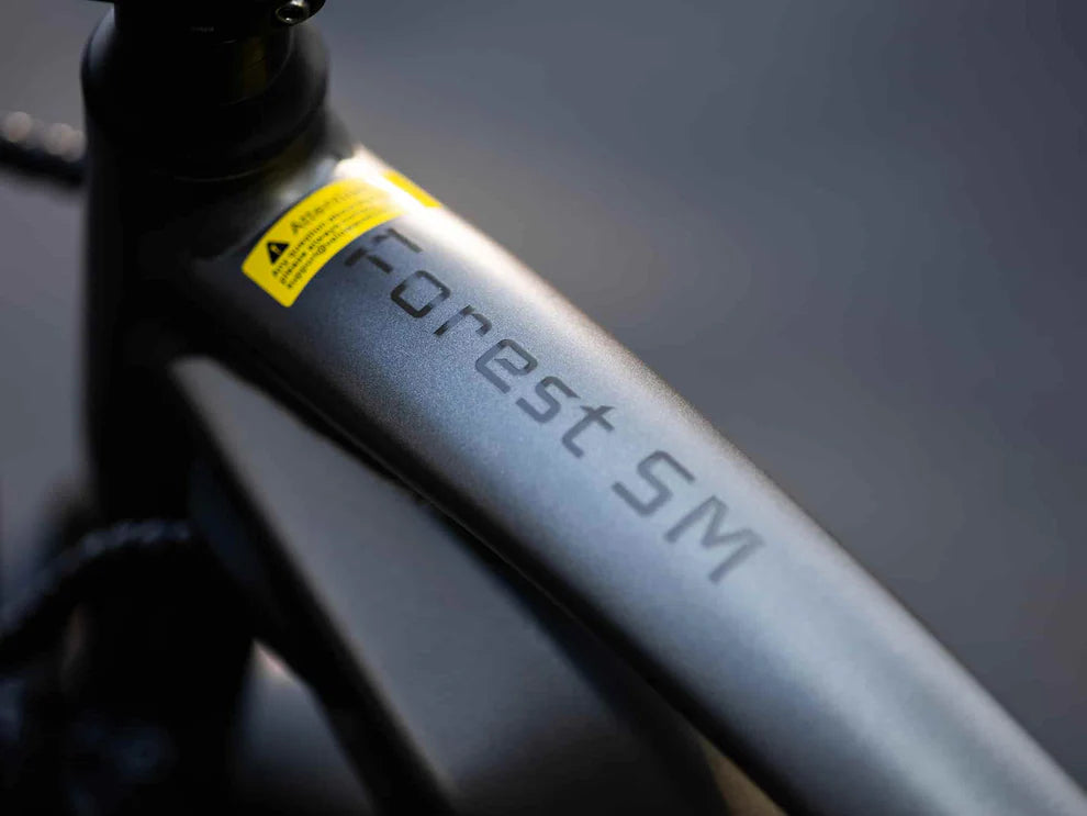 Forest SM MTB