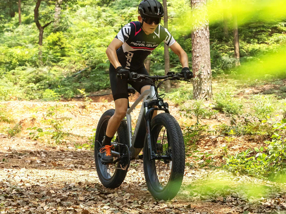 Ranger Fat Tire Electric Bike