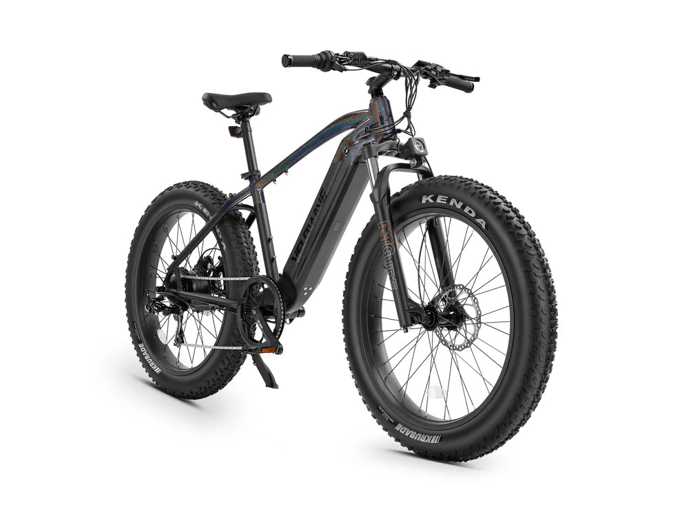 Ranger Fat Tire Electric Bike