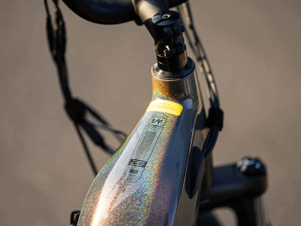 Grace 2.0 Step-Thru Electric Bike