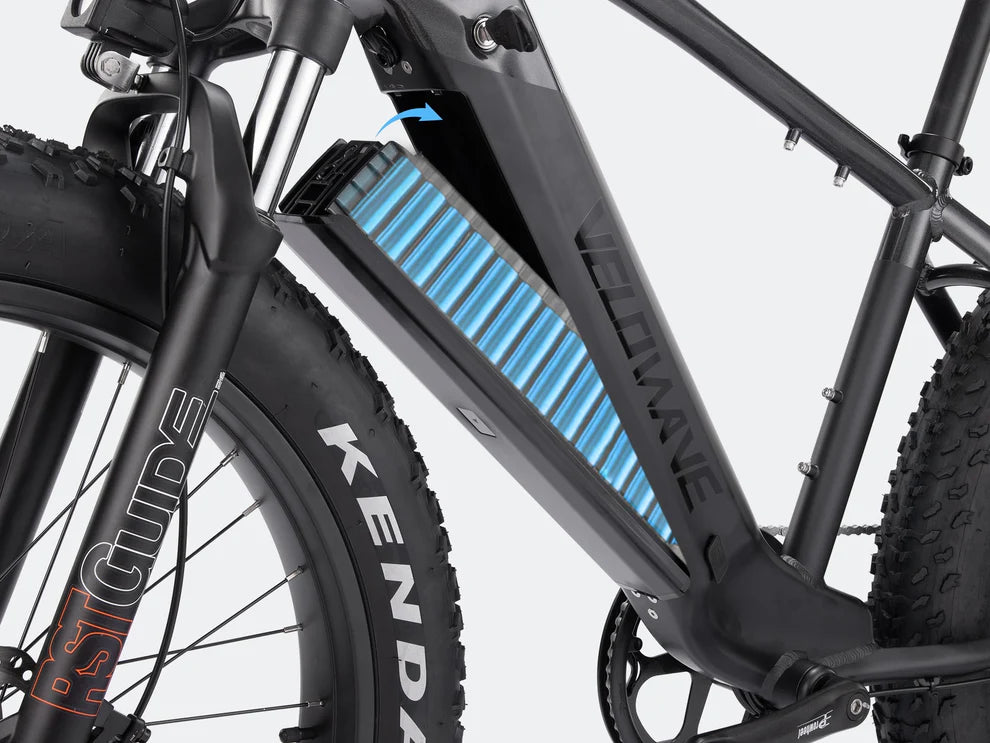 Ranger Fat Tire Electric Bike