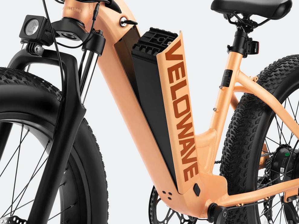 Rover Step-Thru Electric Bike