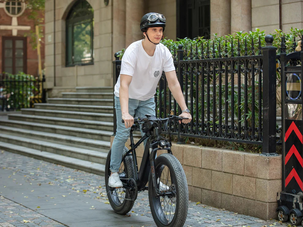 Ranger Fat Tire Electric Bike