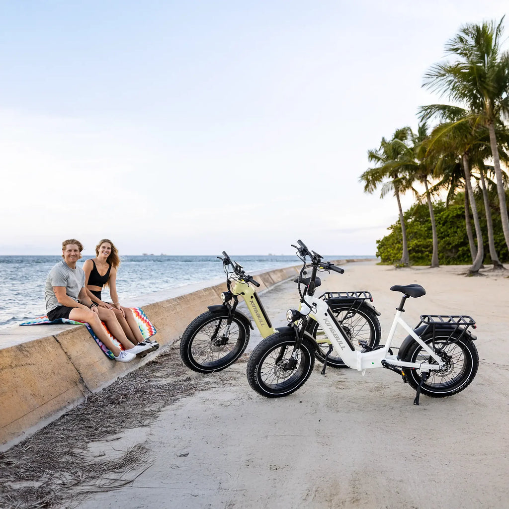 Verve | Long Range Fat Tire Folding Electric Bike