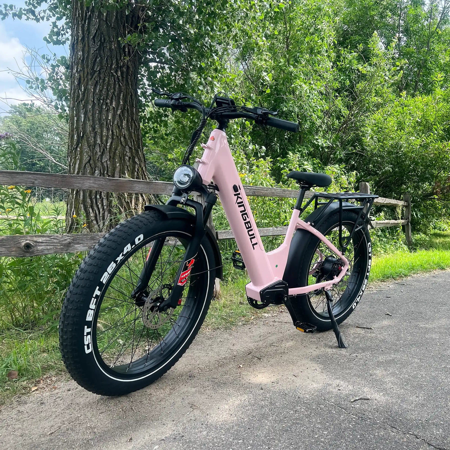 Discover ST 2.0 | Premium Off-road & City Electric Bike