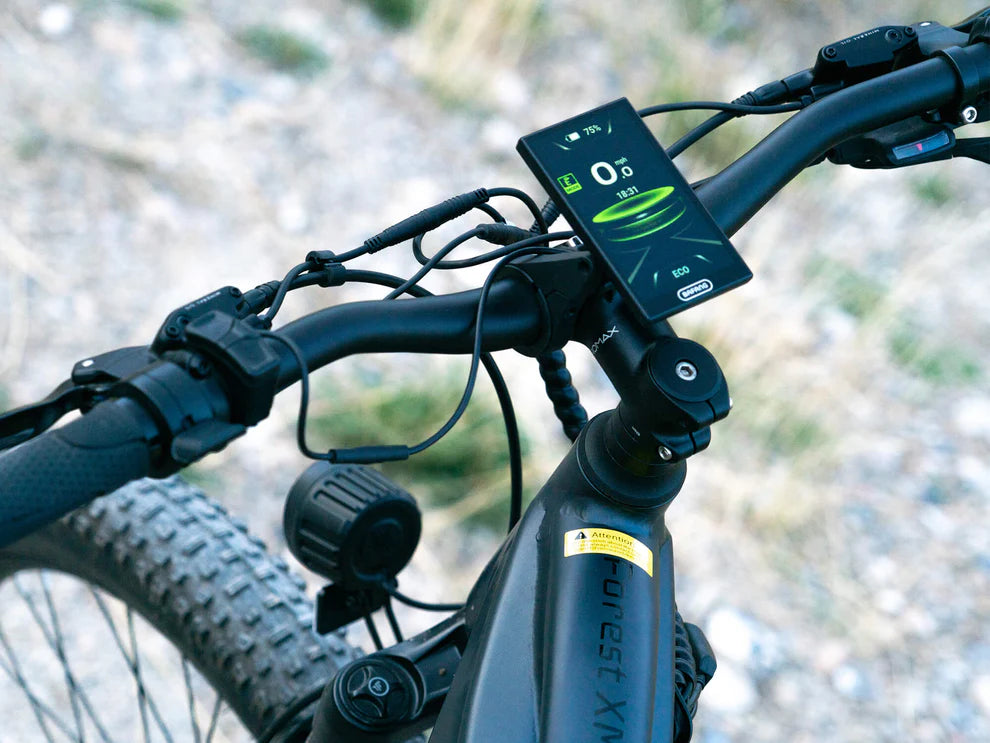 Forest XM MTB