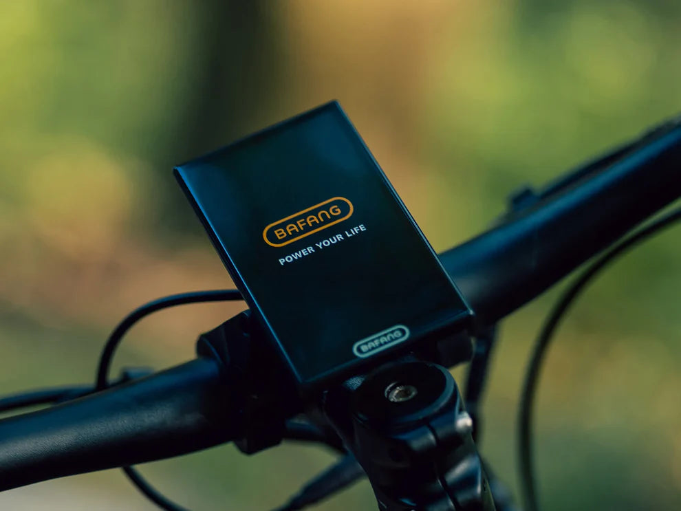 Forest XM MTB