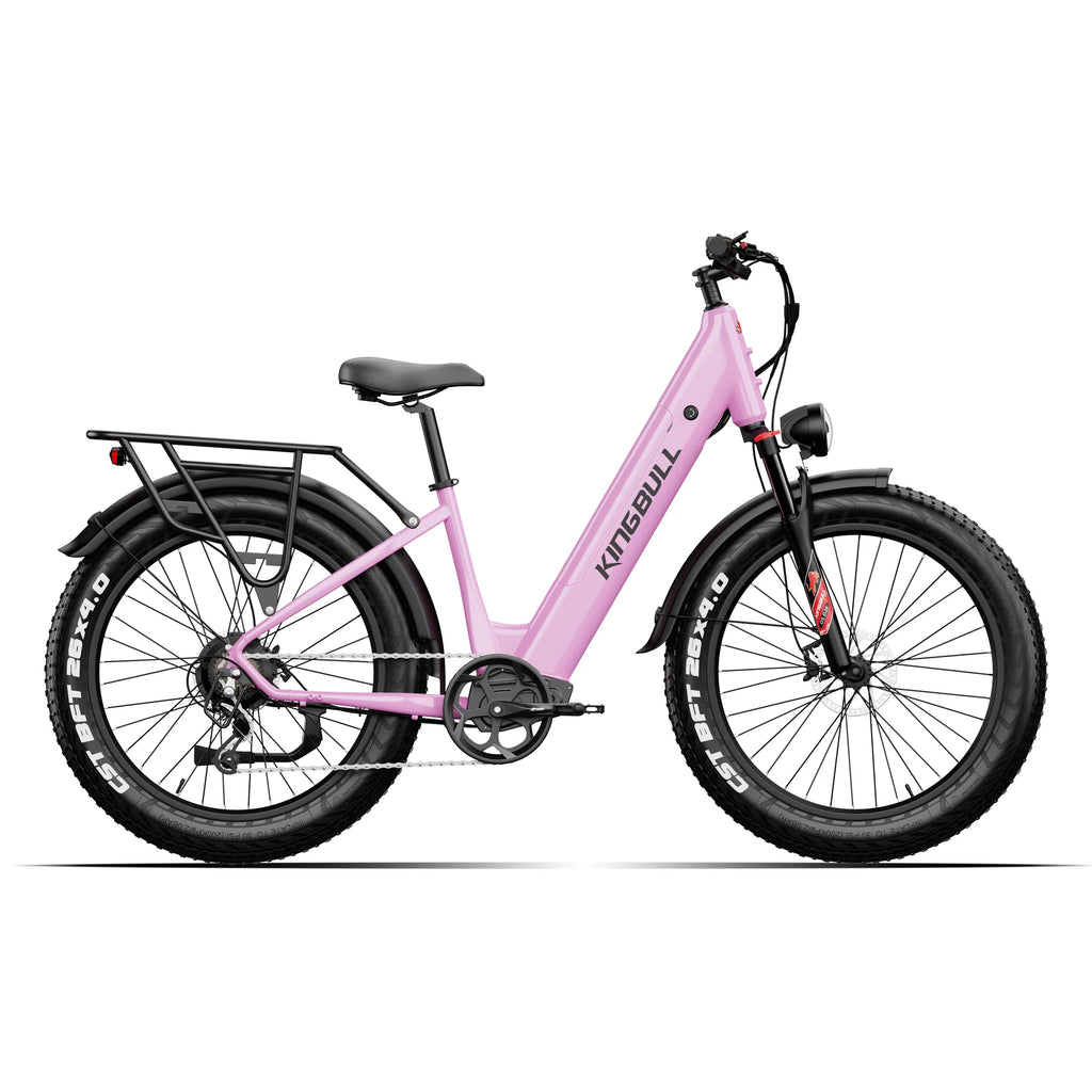Discover ST 2.0 | Premium Off-road & City Electric Bike
