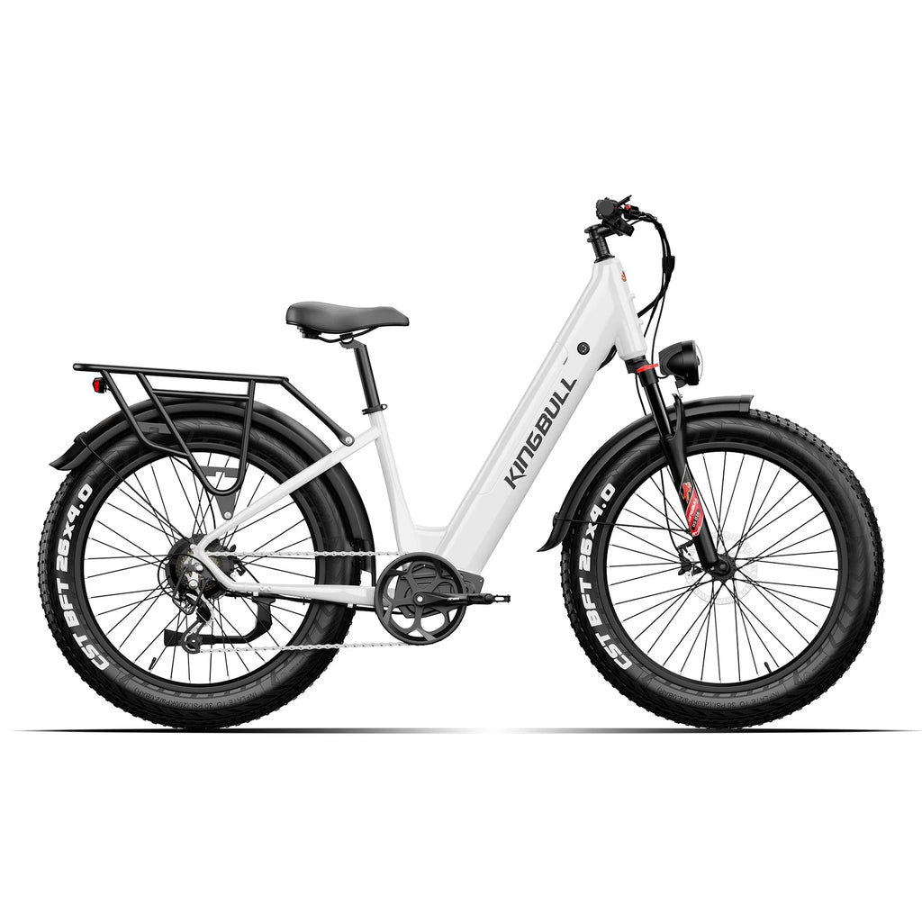 Discover ST 2.0 | Premium Off-road & City Electric Bike