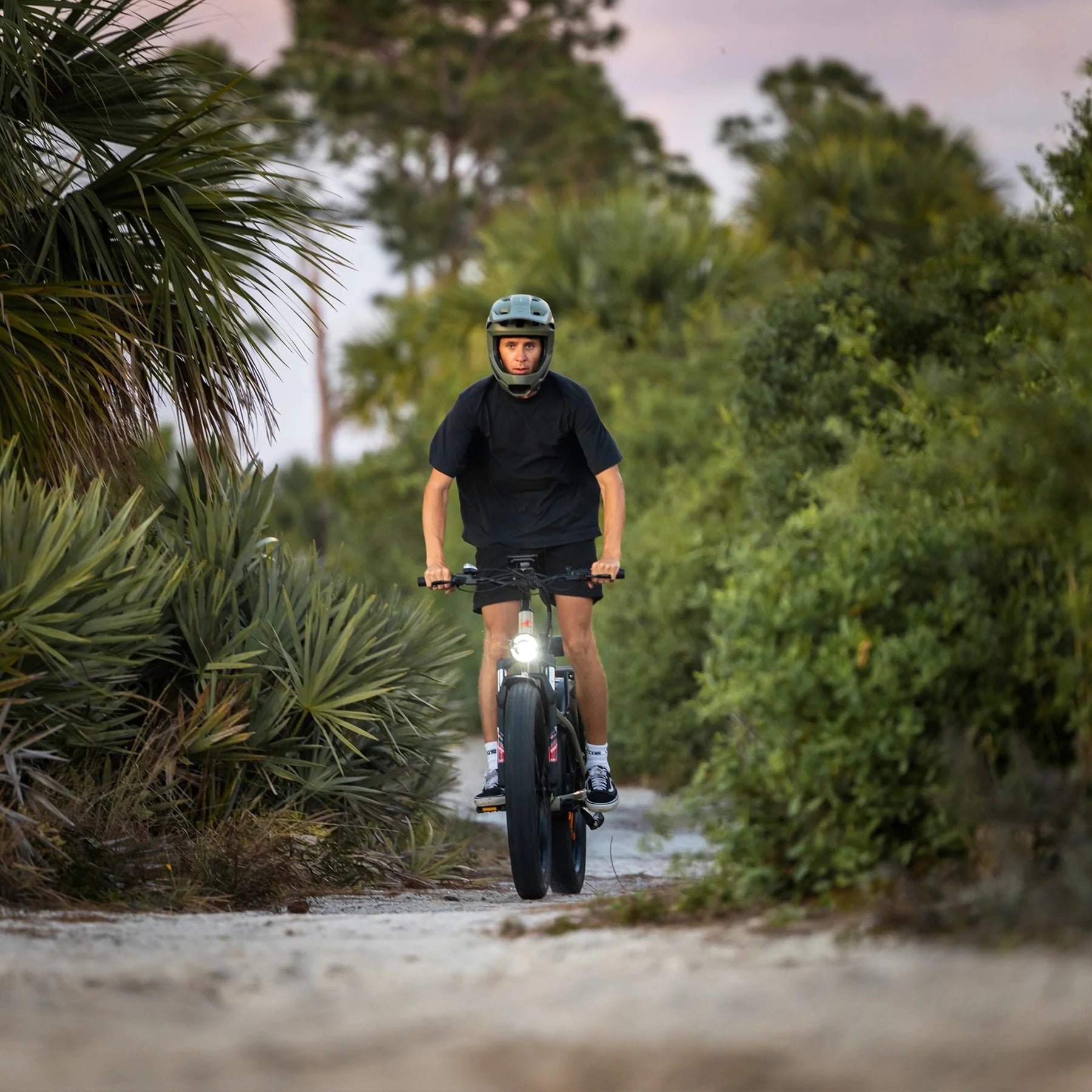 Hunter 2.0 | Mountain Fat Tire Electric Bike