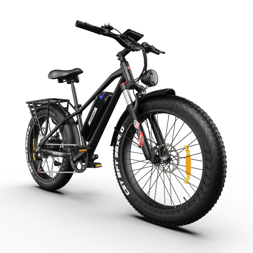 Hunter 2.0 | Mountain Fat Tire Electric Bike
