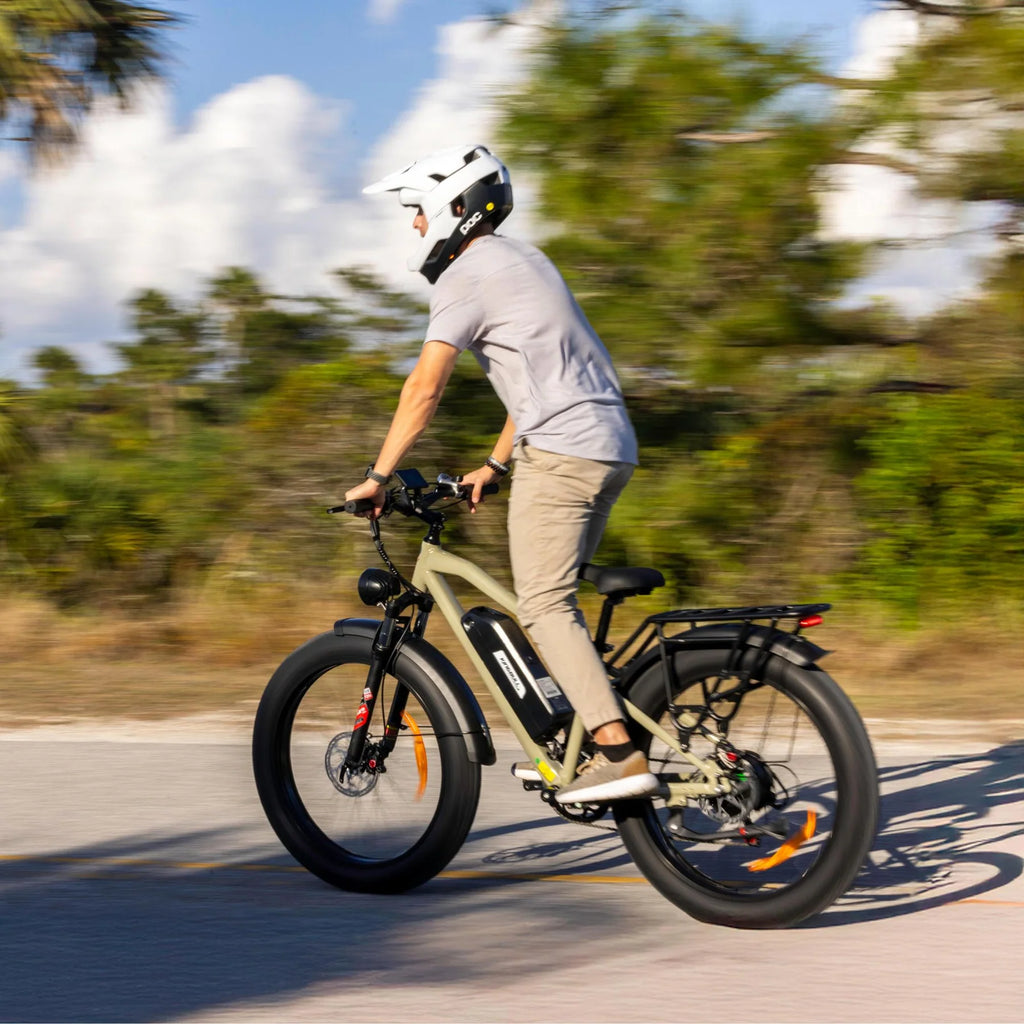 Hunter 2.0 | Mountain Fat Tire Electric Bike
