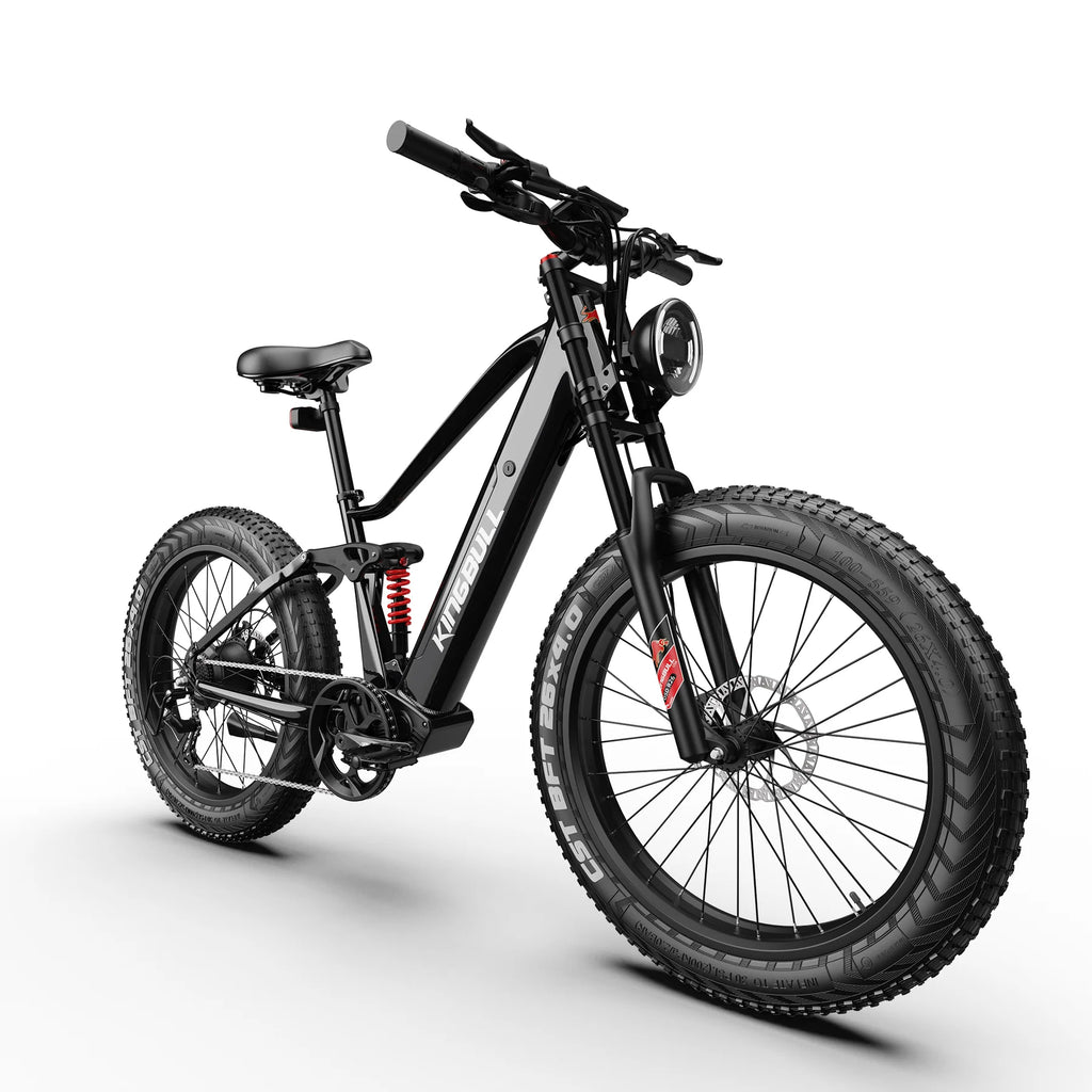 Rover 2.0 | All Terrain Full Suspension Electric Bike