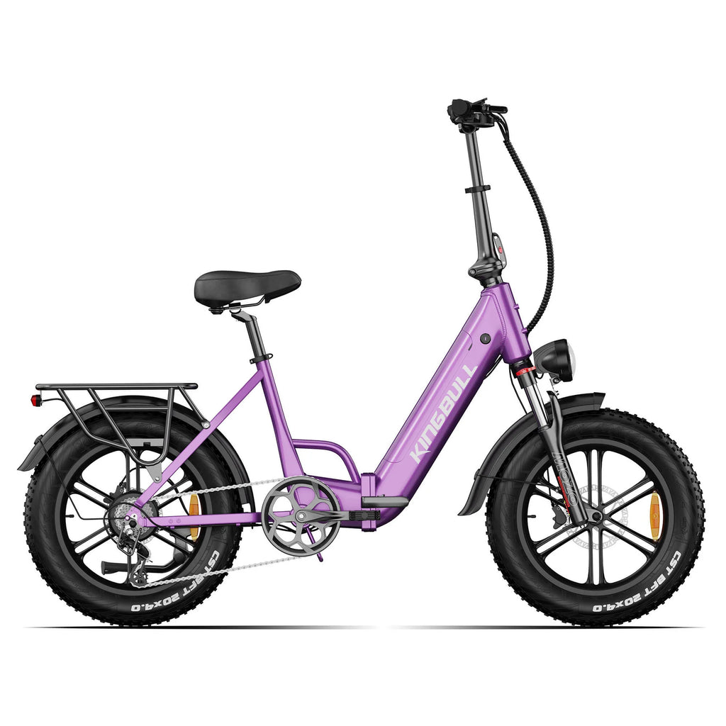 Literider 2.0 | All Terrain Folding Electric Fat Bike