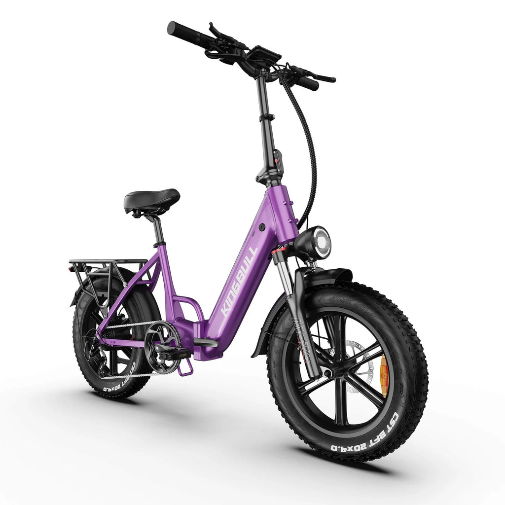 Literider 2.0 | All Terrain Folding Electric Fat Bike