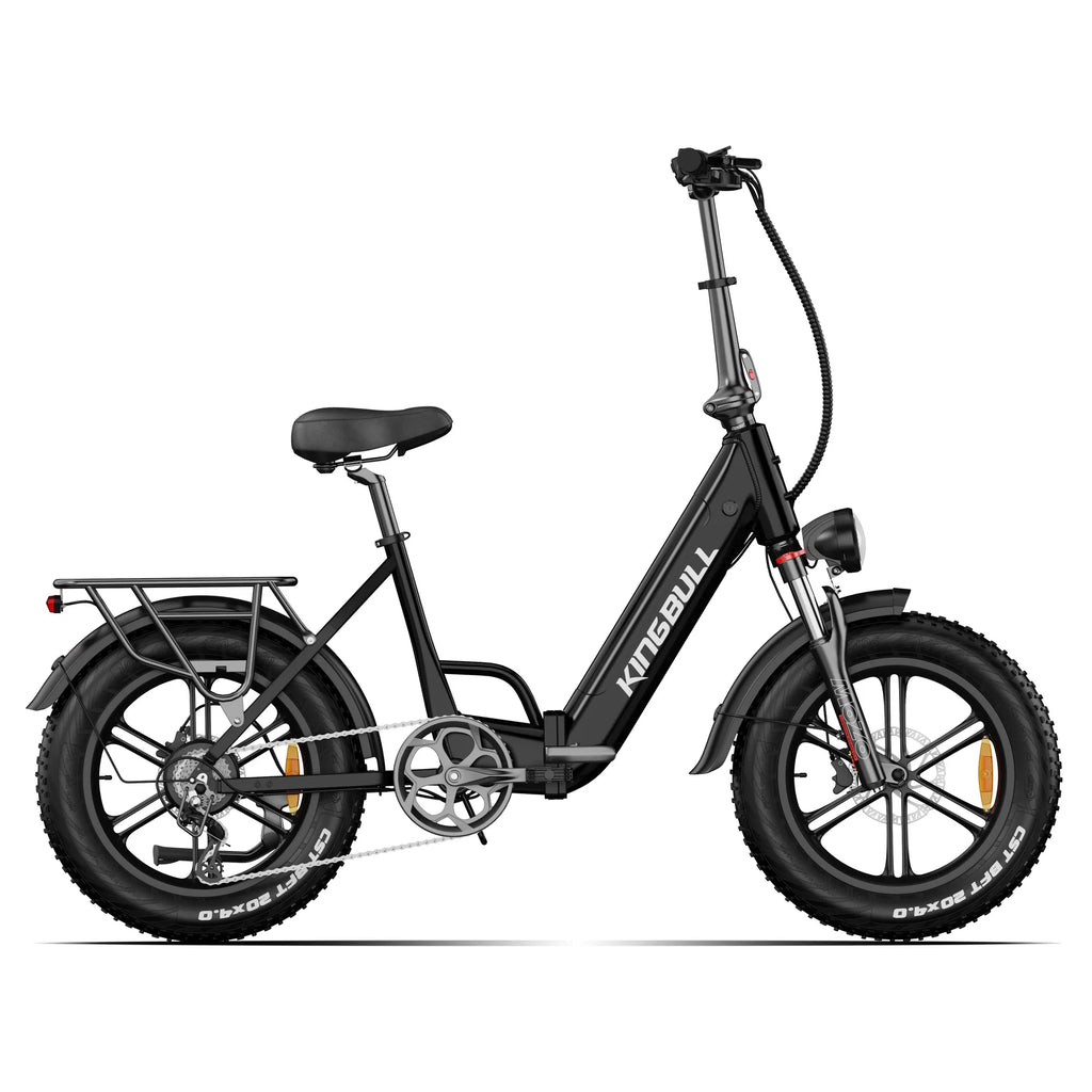 Literider 2.0 | All Terrain Folding Electric Fat Bike