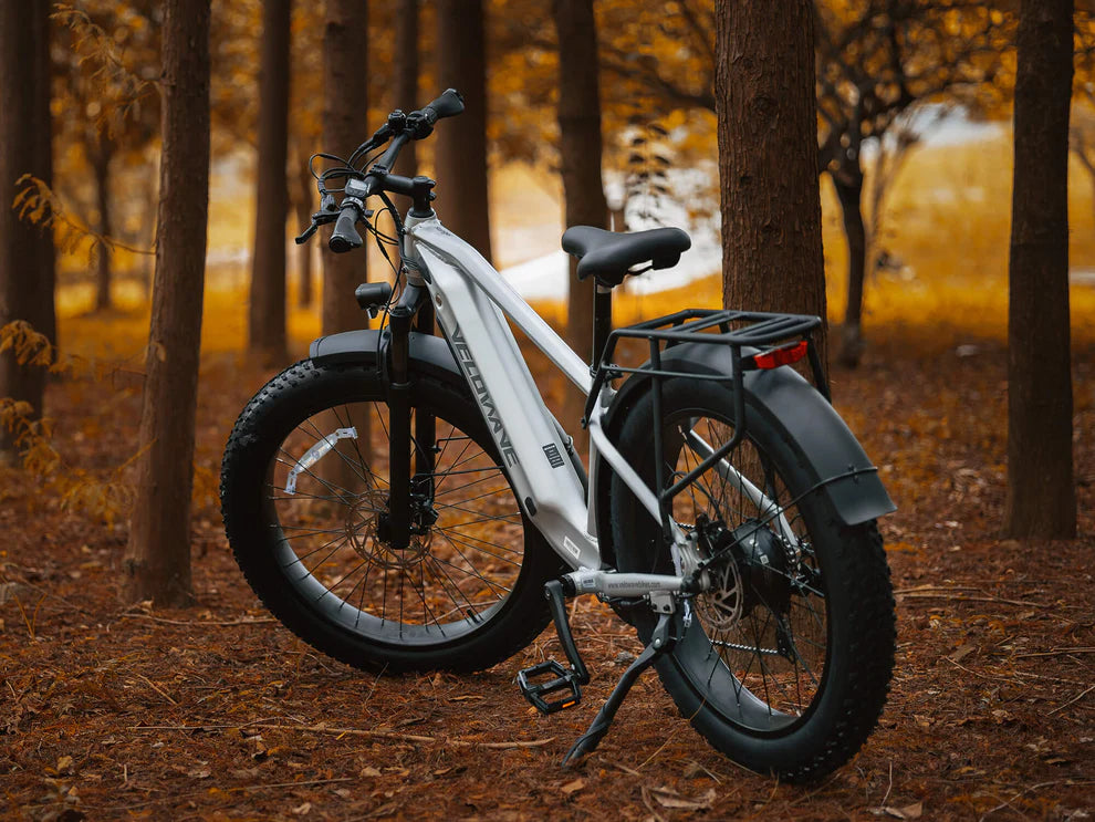 Ranger 3.0 Fat Tire All-Terrain Electric Bike