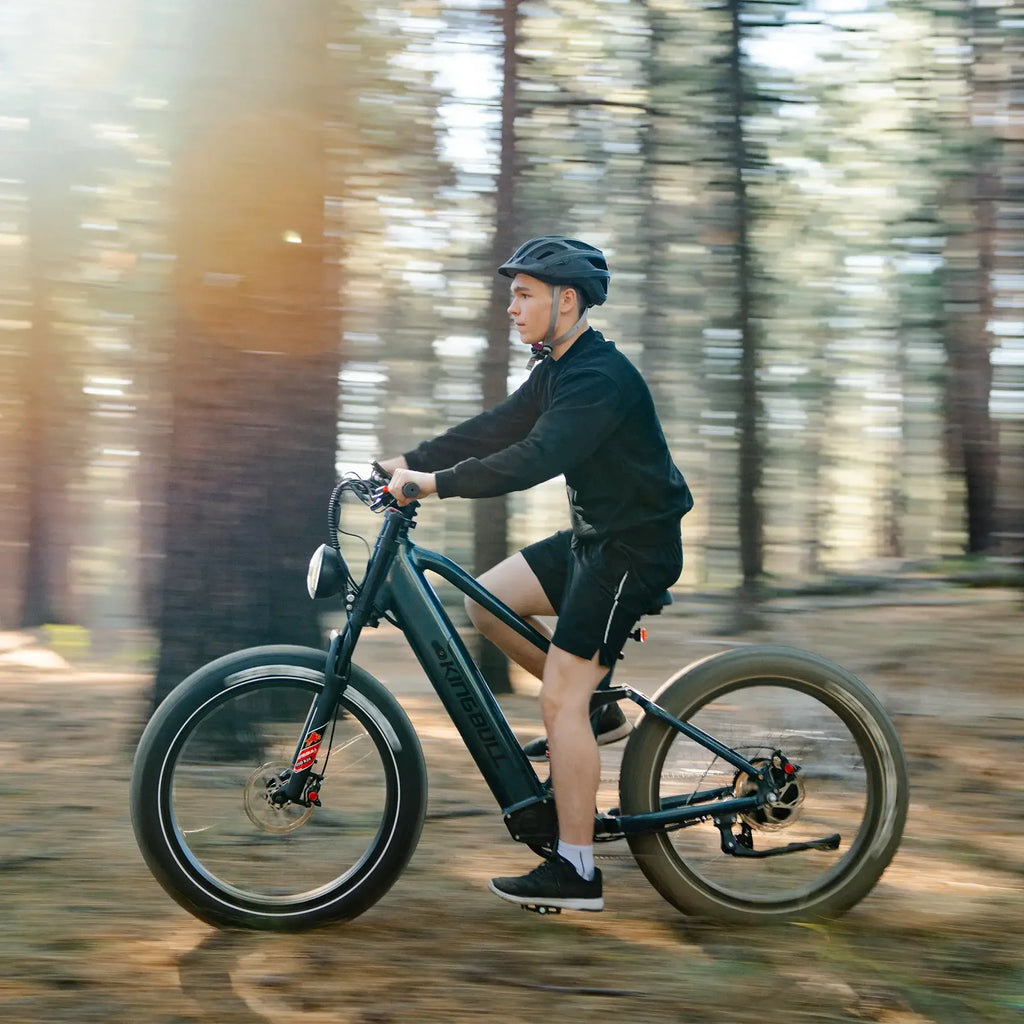 Rover 2.0 | All Terrain Full Suspension Electric Bike