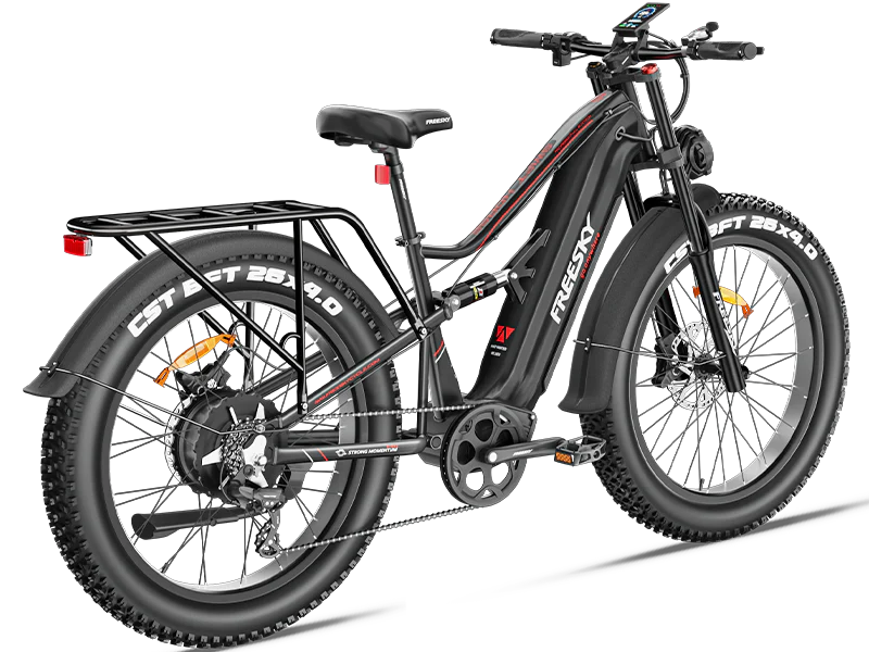 Swift Horse Pro X-6E