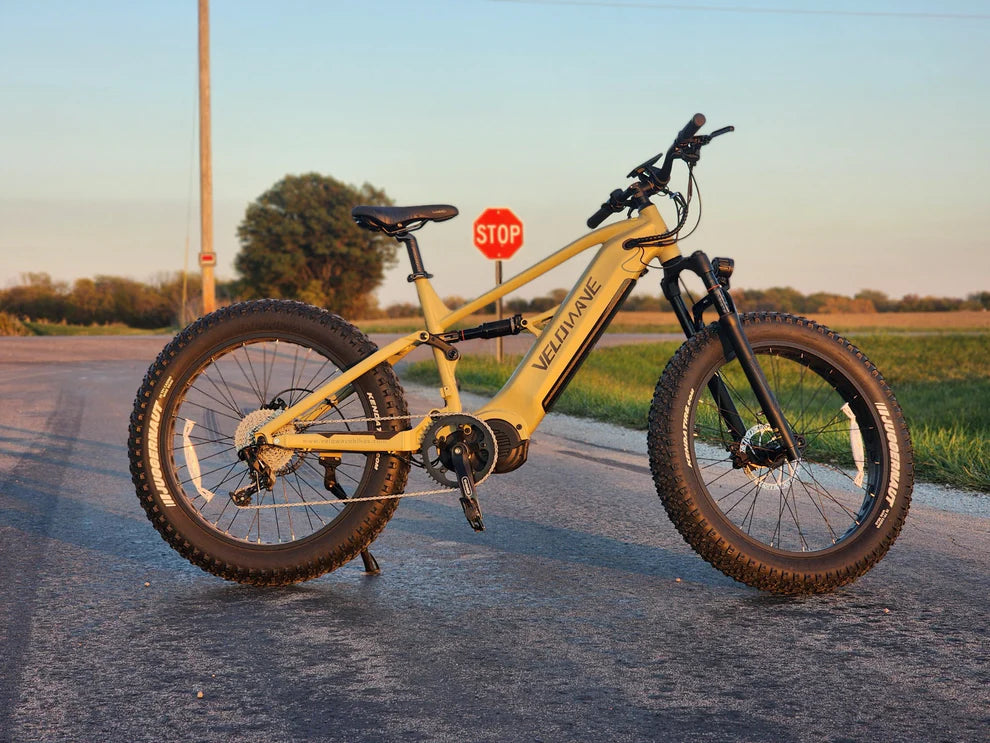 Brawny XM MTB Mountain Electric Bike