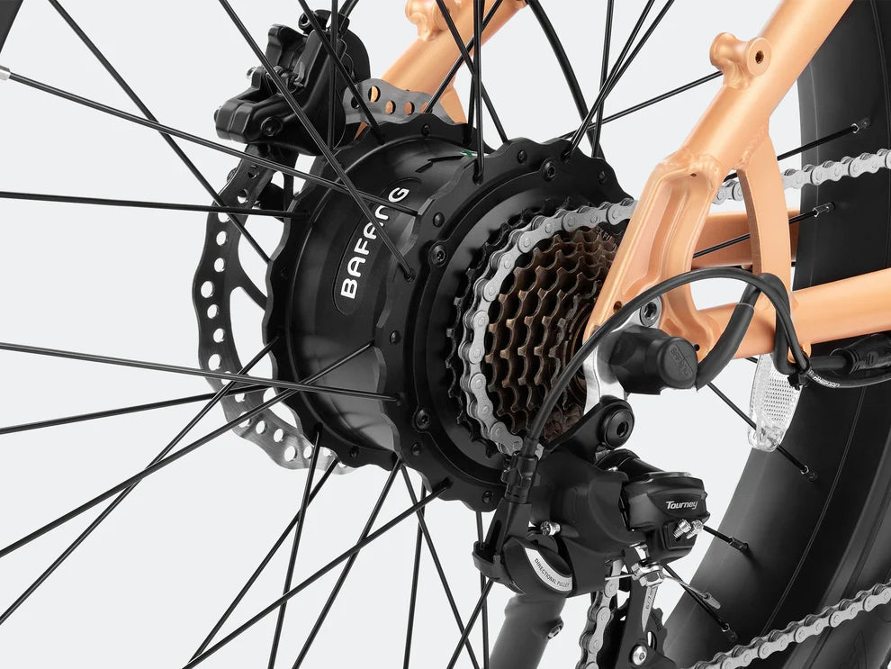 Rover Step-Thru Electric Bike