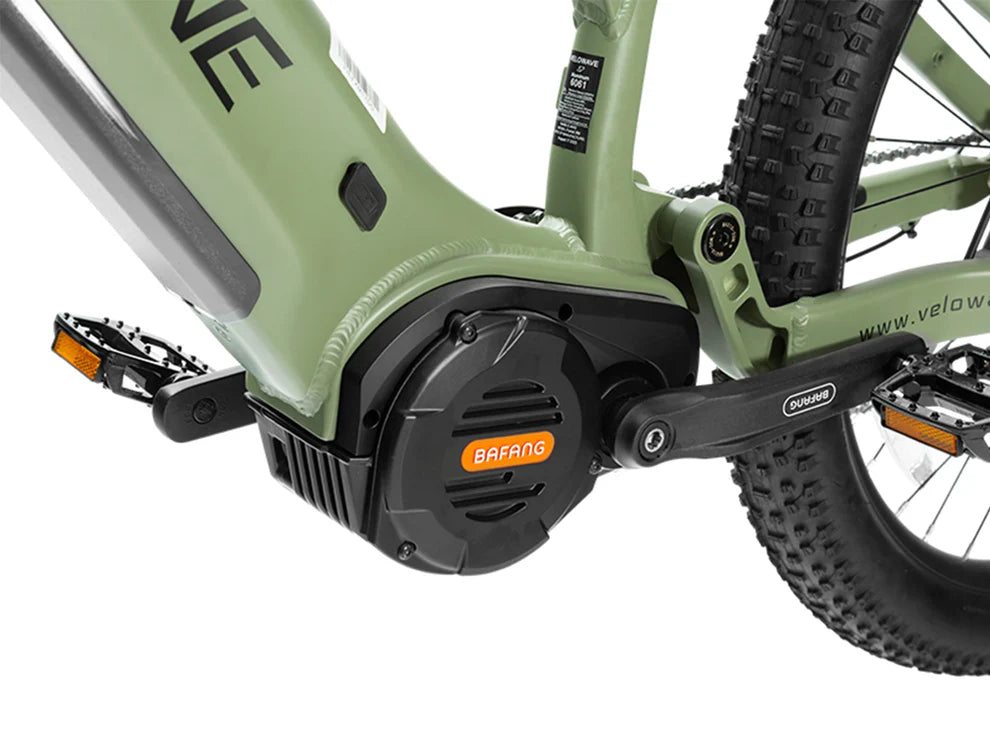 Forest XM MTB