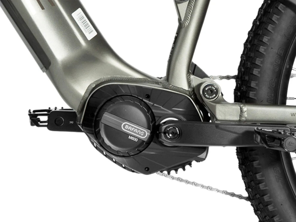 Forest SM MTB