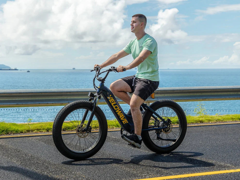 Rover Step-Thru Electric Bike